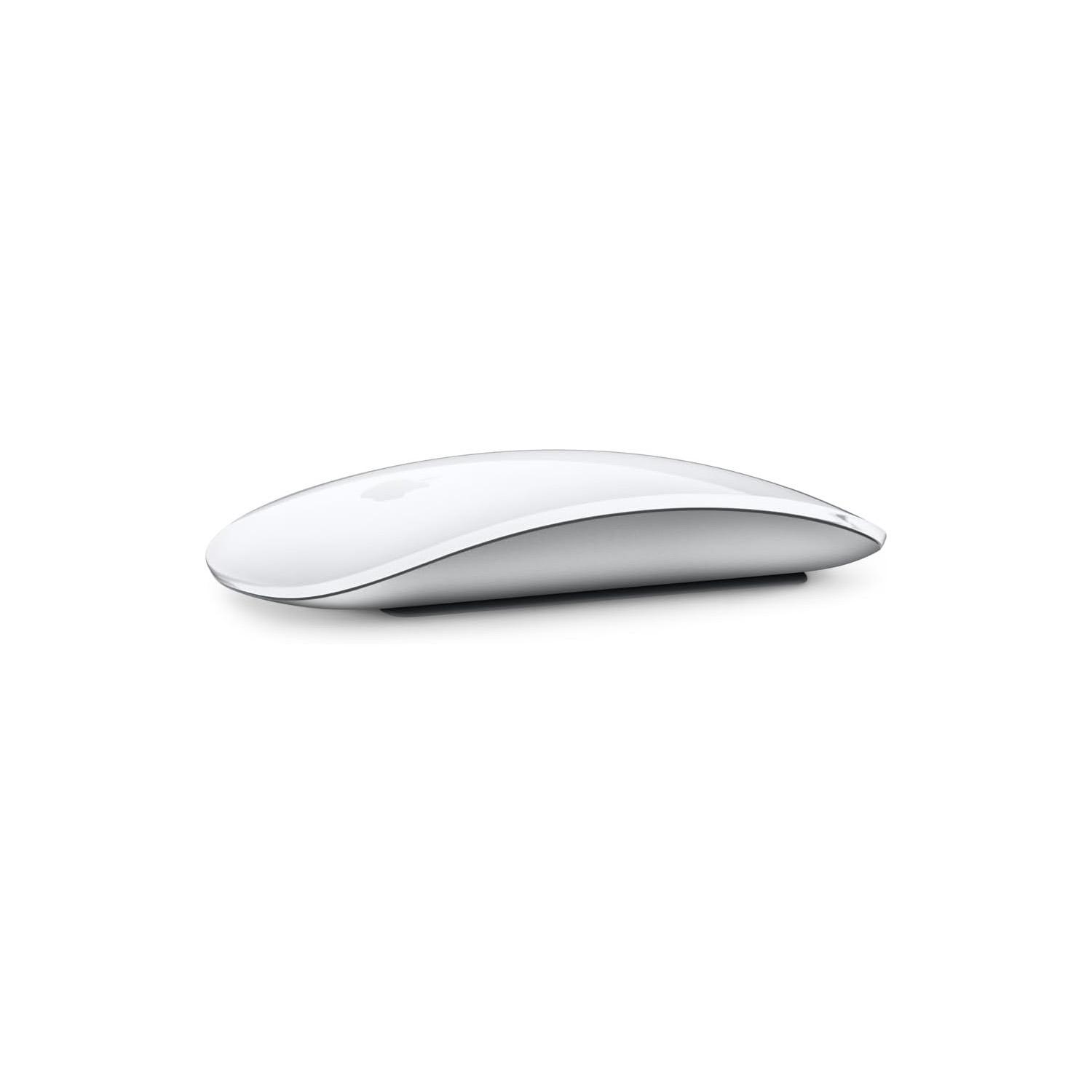 Apple Magic Mouse type-C